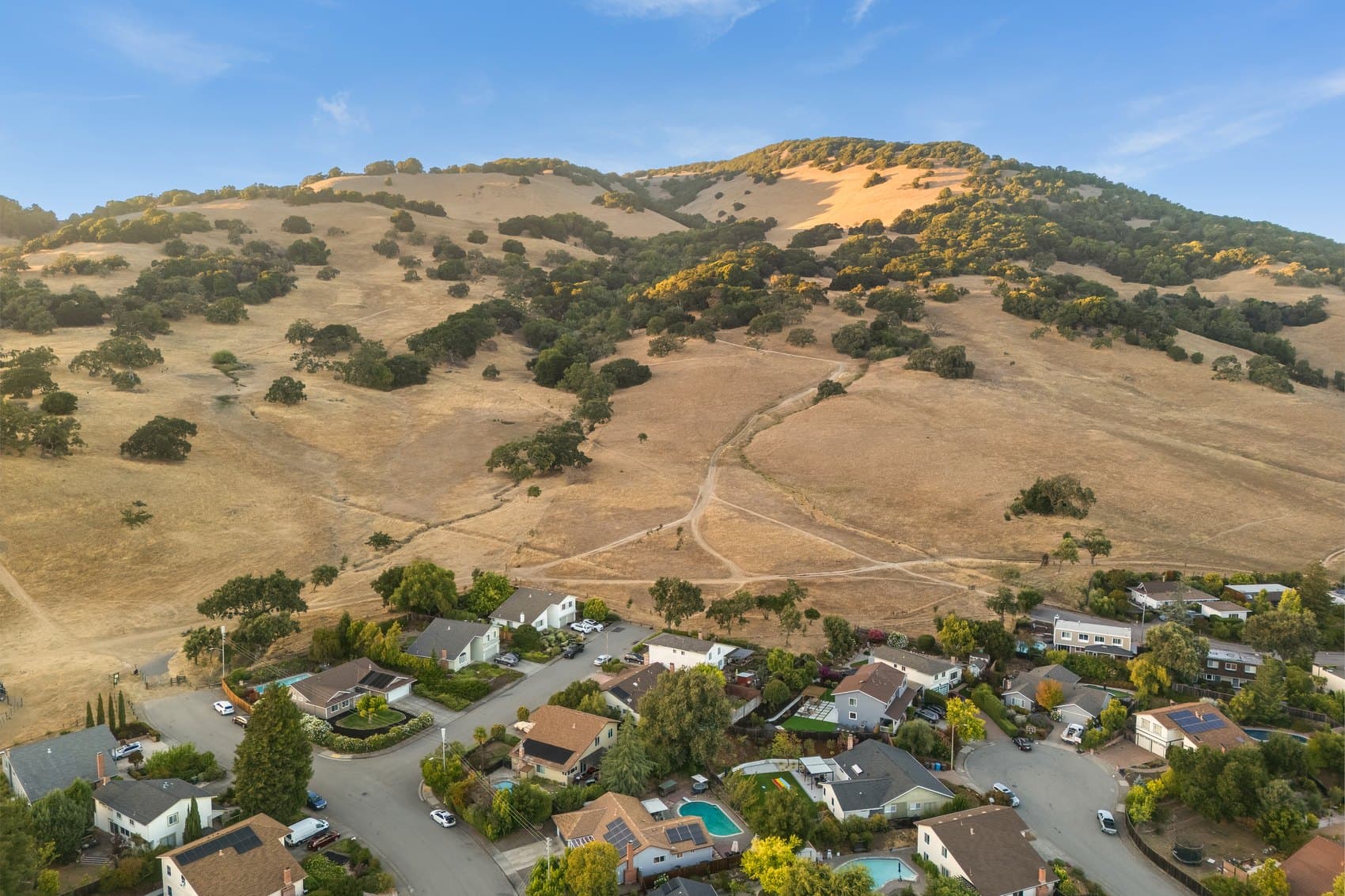 Mt. Burdell open space rising directly behind the neighborhood.